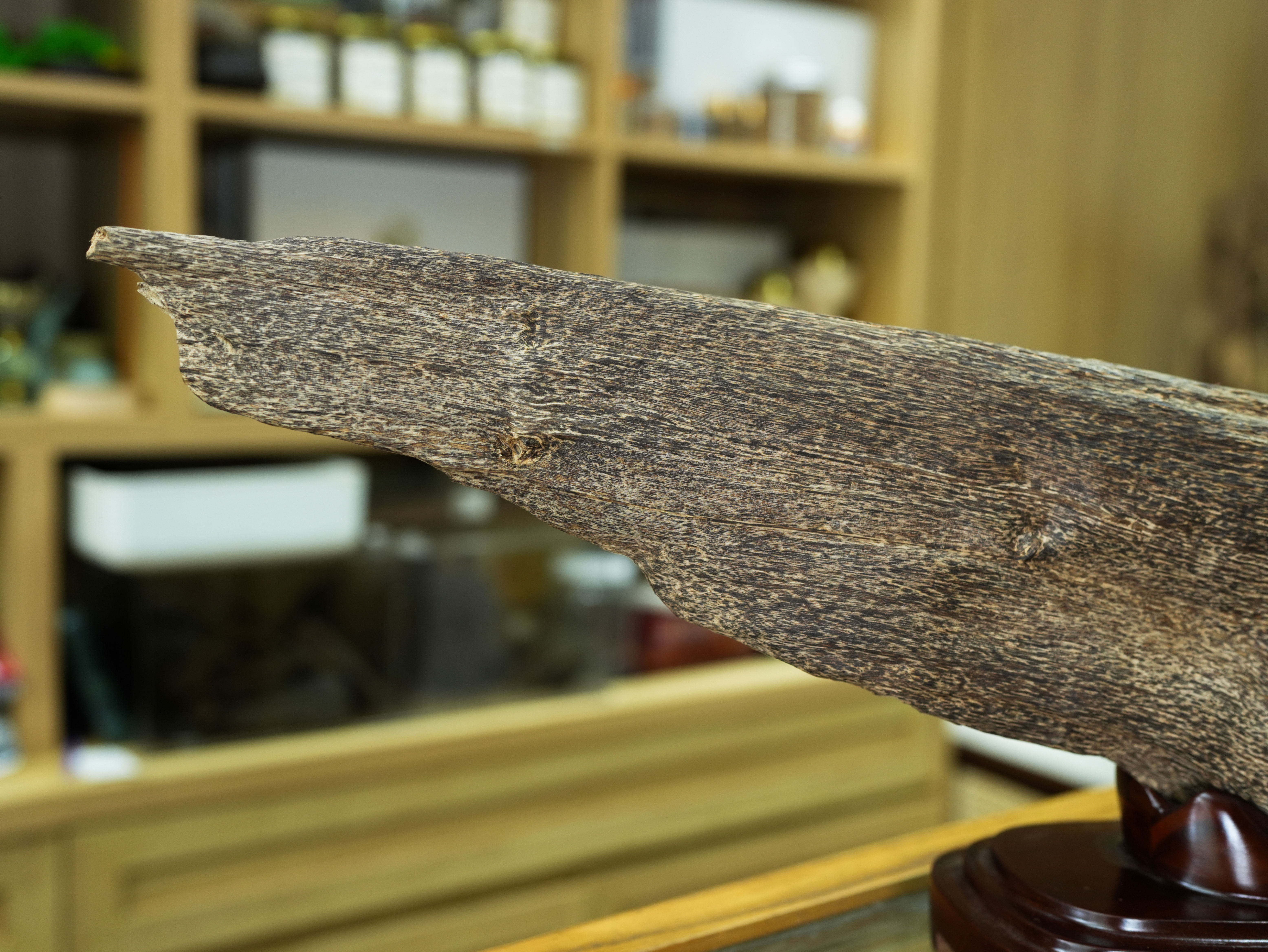 Natural Vietnamese Agarwood Sculpture – Whale Form | Vietnamese Oud Display